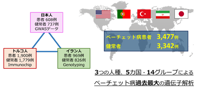 図1：本研究の研究デザイン